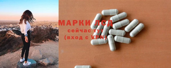 трава Аркадак