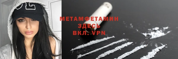 трава Аркадак