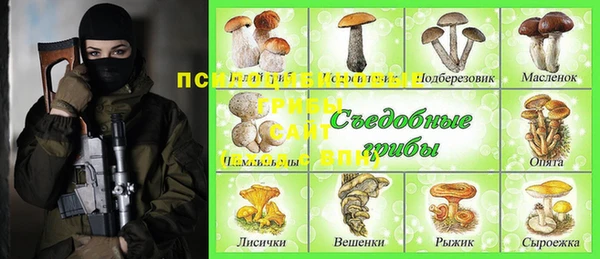 трава Аркадак