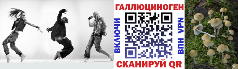 где найти наркотики  Слюдянка  Галлюциногенные грибы Cubensis 